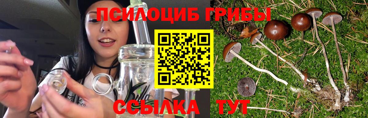 Псилоцибиновые грибы Cubensis  Галлюциногенные грибы мицелий  даркнет сайт  Ижевск  Вход с VPN 
